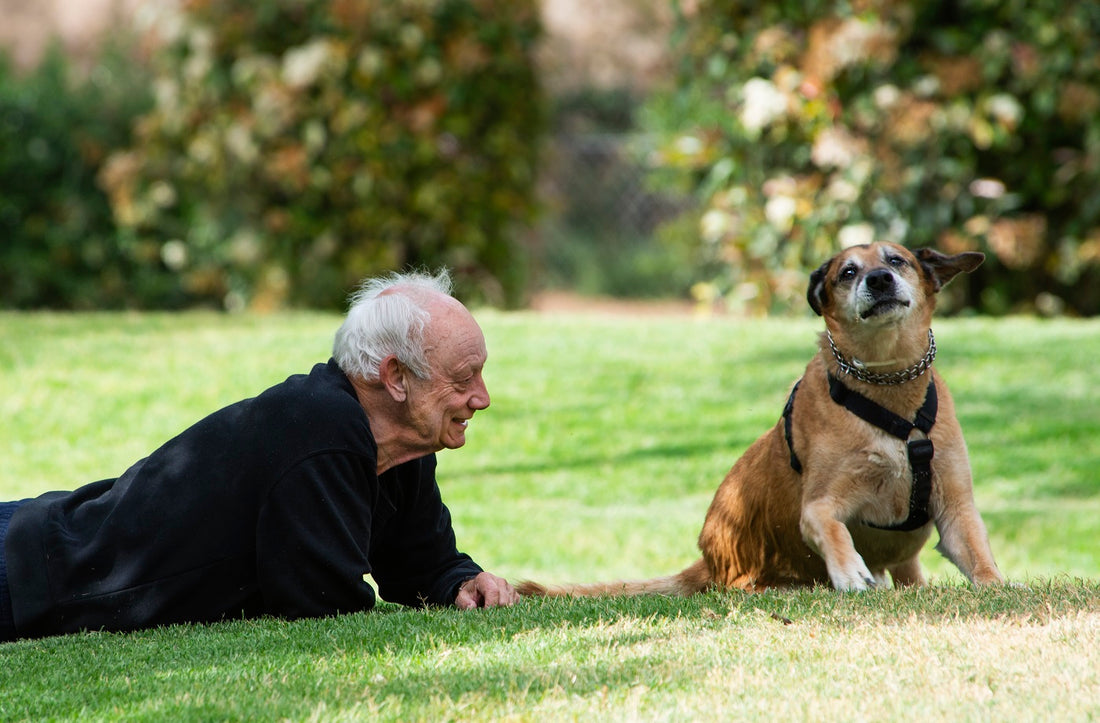 10 segreti naturali per il tuo cane: una vita più lunga, felice e... pelosa!