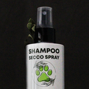 Shampoo secco