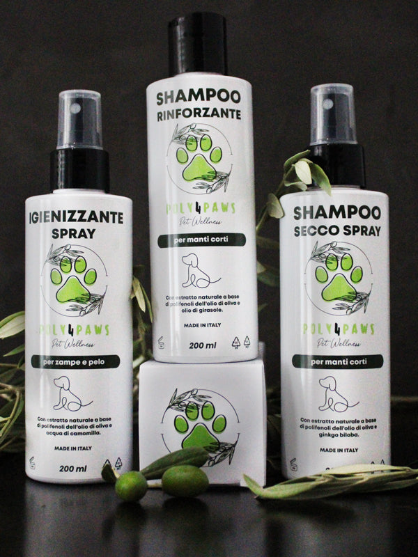 Kit Poly4Paws per Cani dal Manto Corto: Rivoluziona la bellezza del tuo amico peloso con shampoo delicati e spray igienizzanti, per un pelo morbido, lucente e sempre impeccabile!