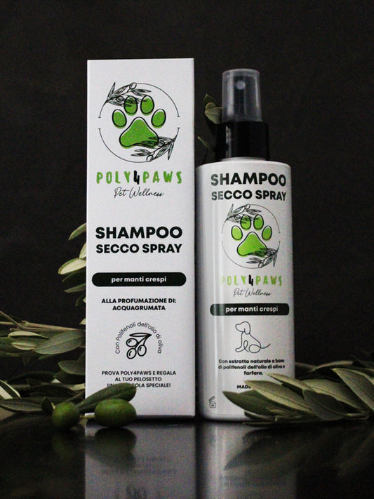 Shampoo Secco Spray Manti Crespi Poly4Paws: Ricci Definiti, Nutrimento Profondo e Azione Idratante per il Tuo Cane - Rinfresca, nutre e protegge con delicata fragranza.